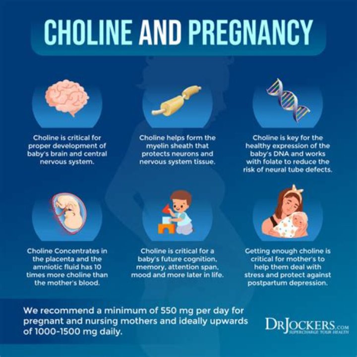Is choline good for pregnancy?