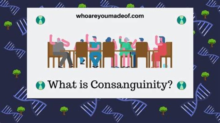 Is consanguinity a noun?