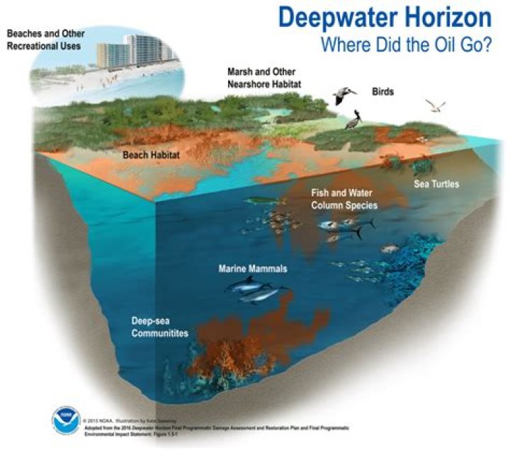 Is deepwater horizon the bp oil spill?