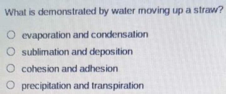 Is demonstrated by water moving up a straw?