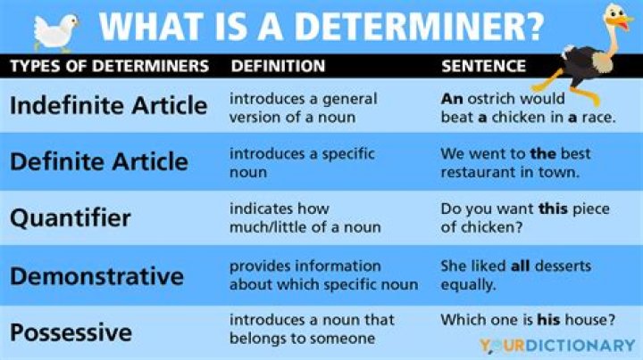 Is determiner and article?