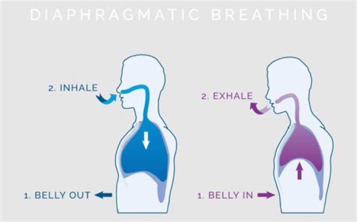 Is diaphragmatically a word?