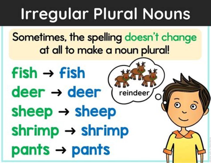 Is directives a plural?