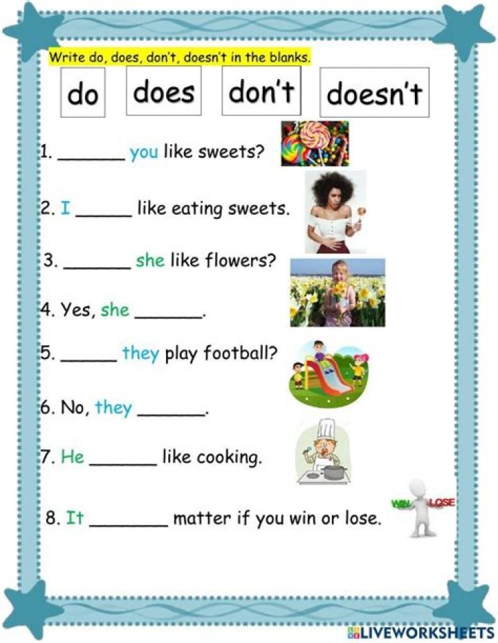 Is doesn't a verb?