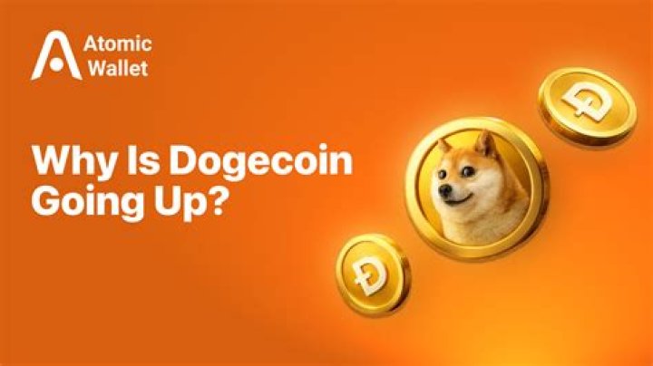 Is dogecoin going up?