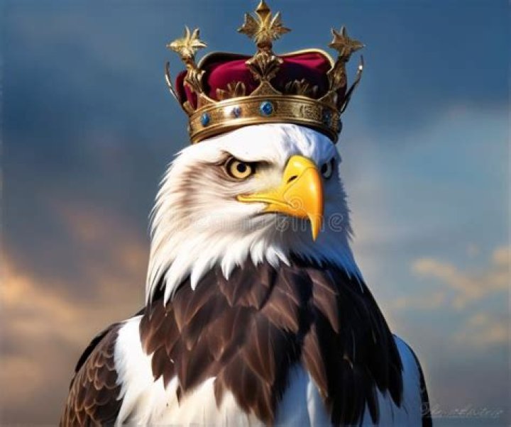 Is eagle king of bird?