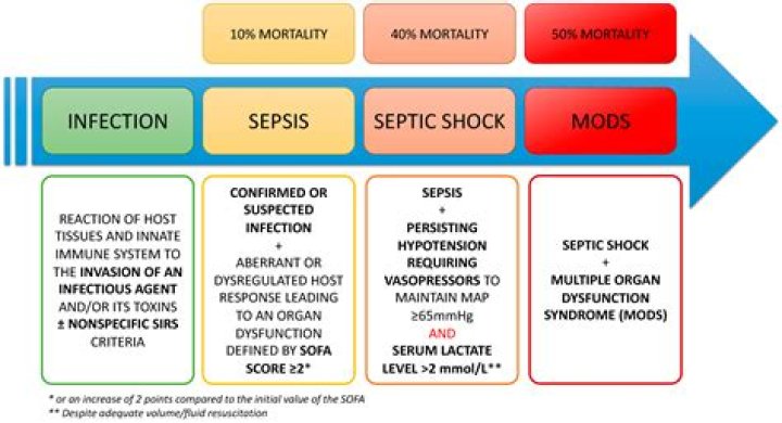 Is endotoxic shock the same as septic shock?