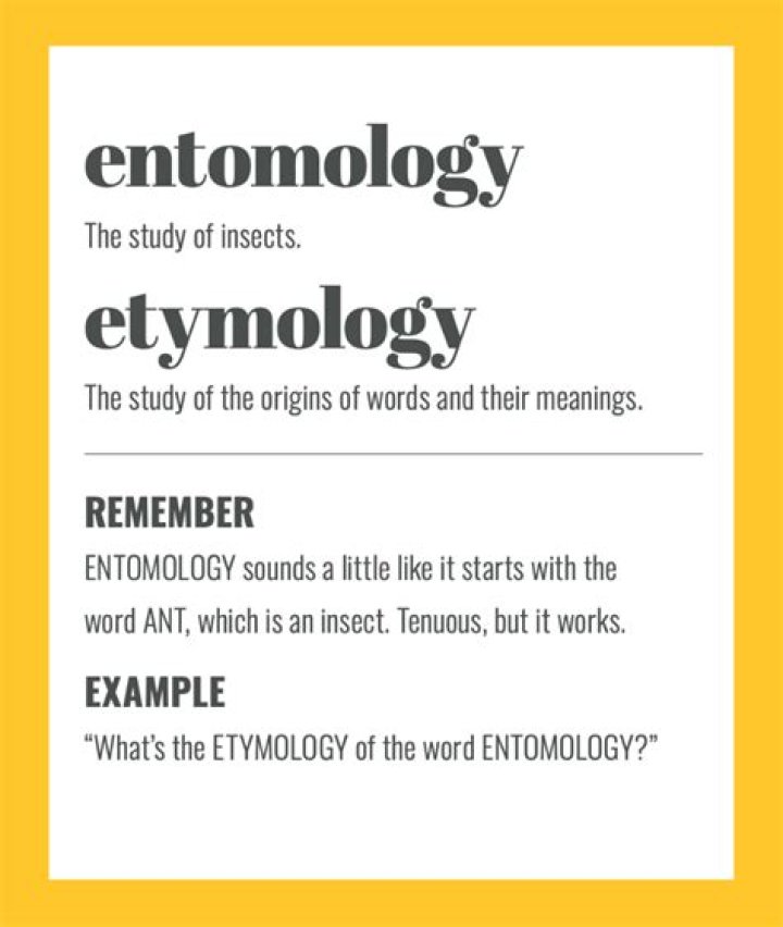 Is entomology in a sentence?