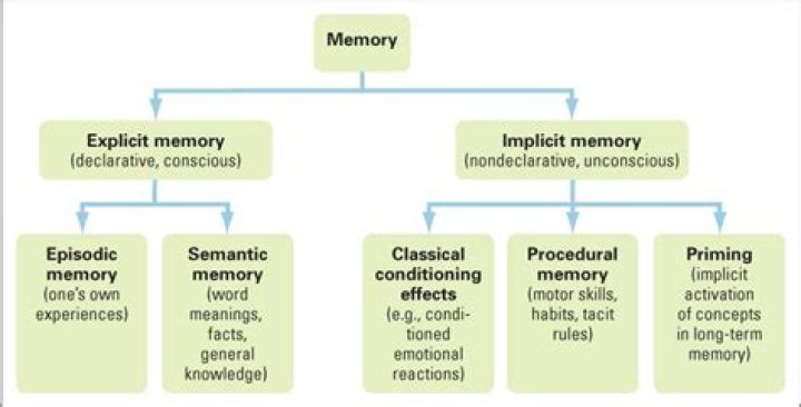 Is episodic memory nondeclarative?