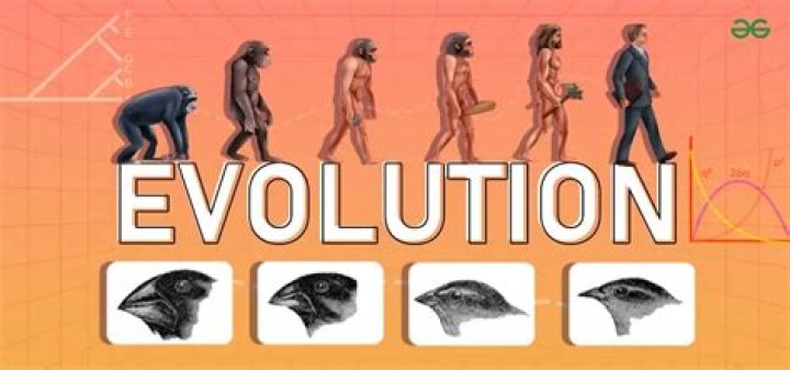 Is evolution same as evolve?