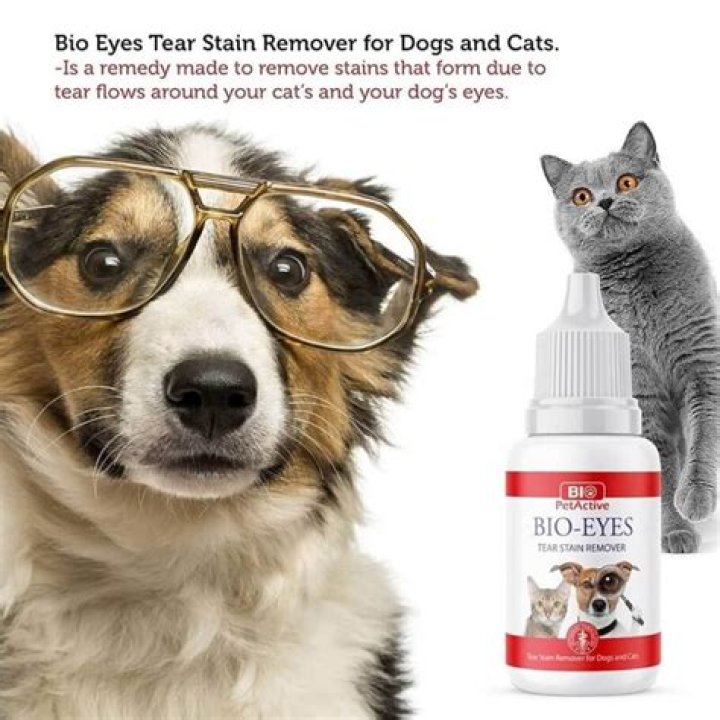 Is eyebright safe for cats?