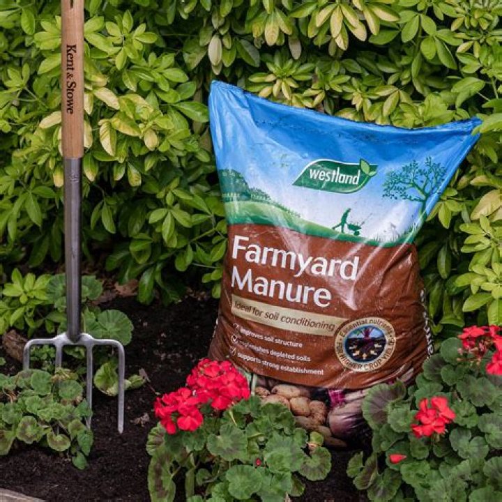 Is farmyard manure good for hydrangeas?
