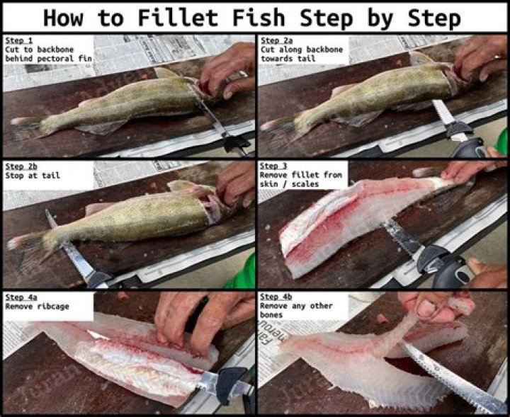 Is fillet fish halal?