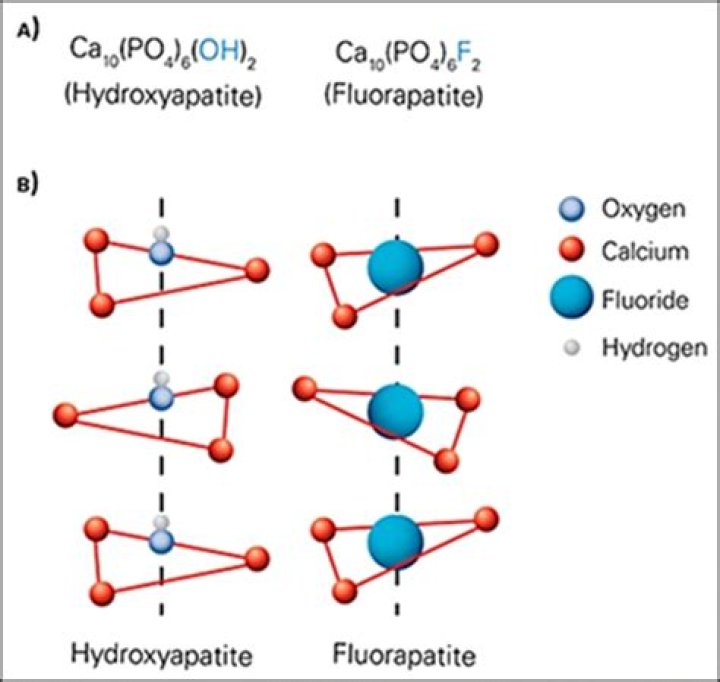 Is fluorapatite stronger than hydroxyapatite?