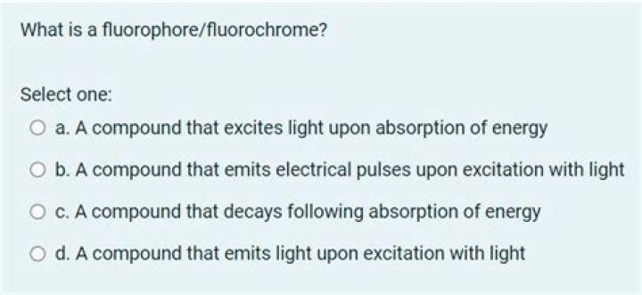 Is fluorochrome the same as fluorophore?