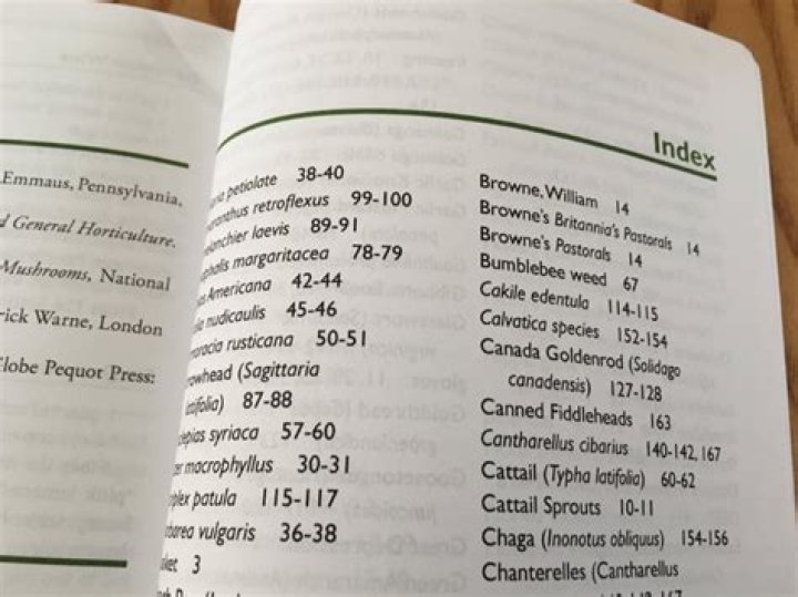 Is glossary the same as index?