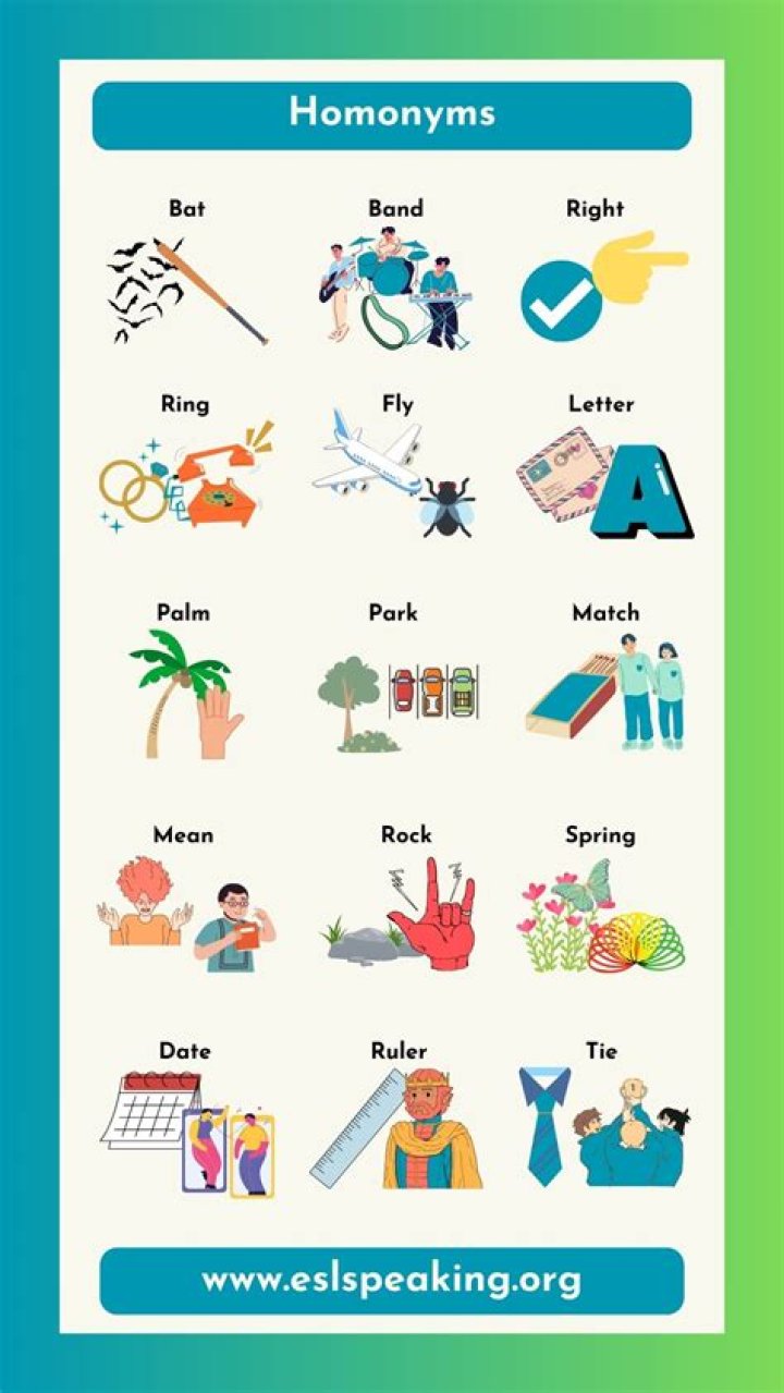 Is homonyms in the dictionary?