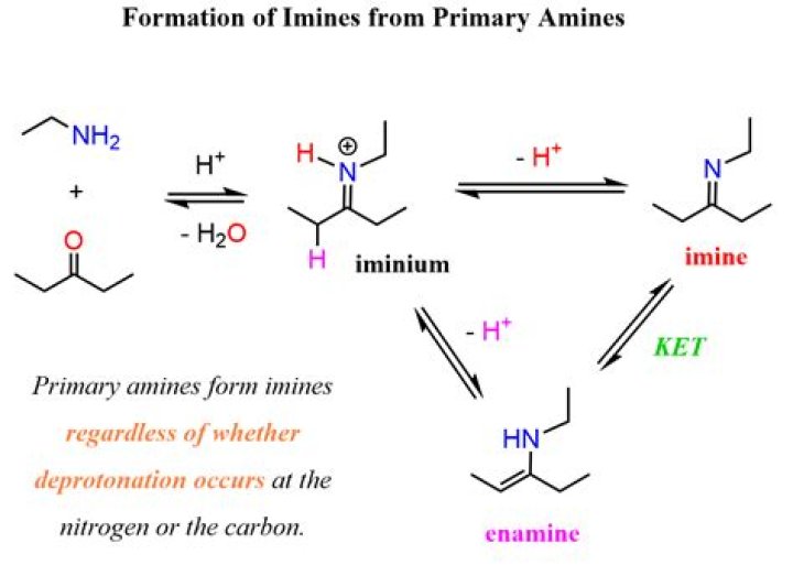 Is imine a nucleophile?