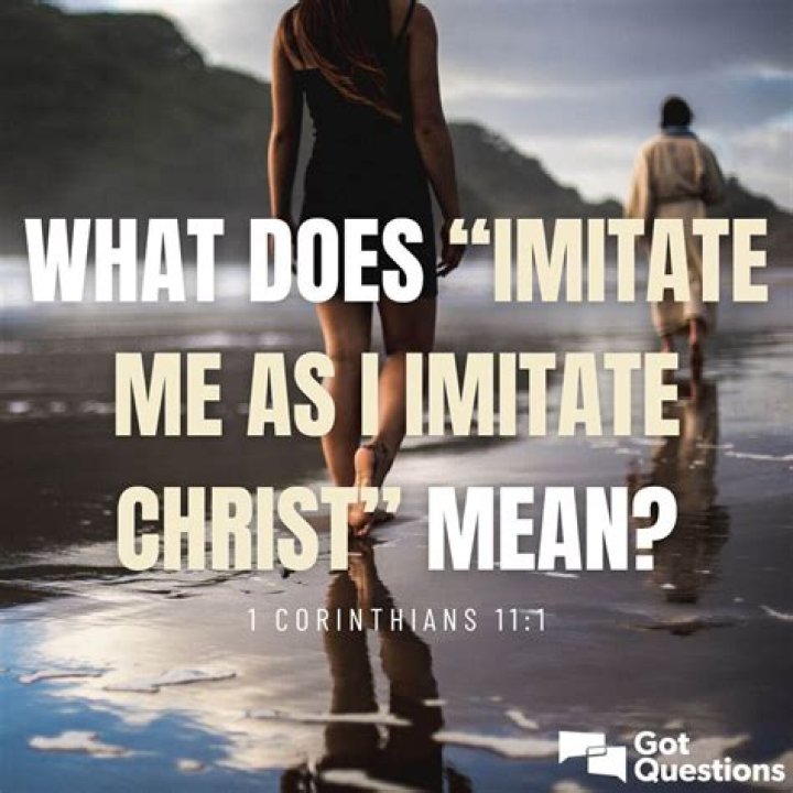 Is imitate same as duplicate?