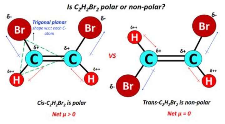 Is isoprene polar or nonpolar?