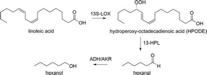 Is it ok to put hydroperoxide in your ear?