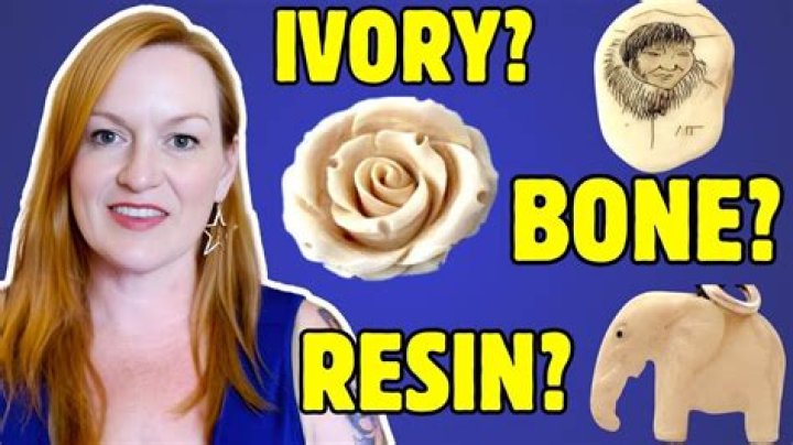 Is ivory a type of bone?