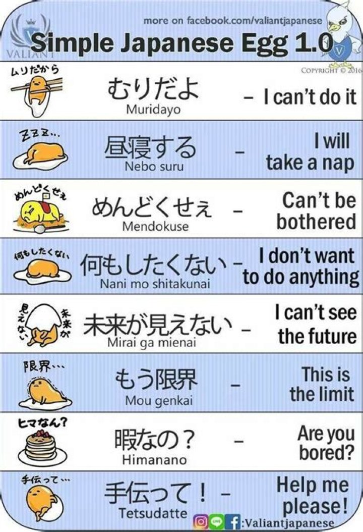 Is japanese easy to learn?