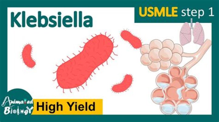 Is klebsiella a cre?
