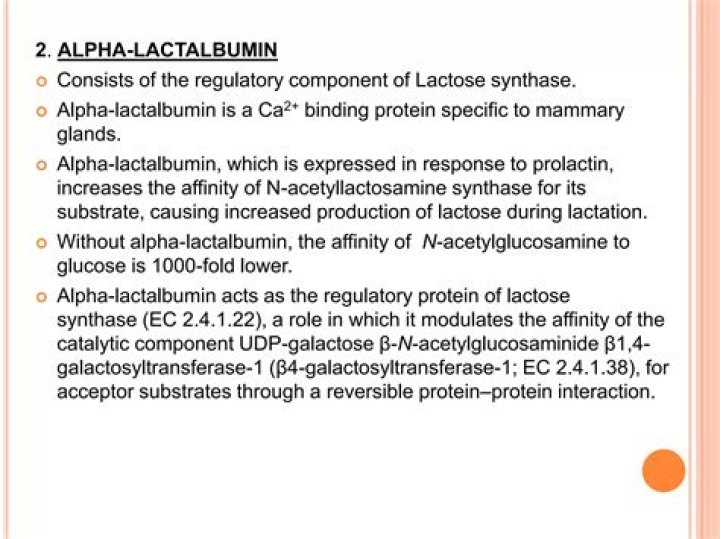 Is lactalbumin the same as lactose?