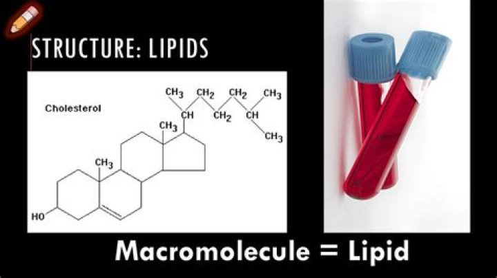 Is macromolecule a lipid?