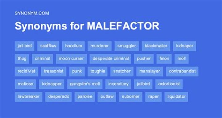Is malefactor a bad word?