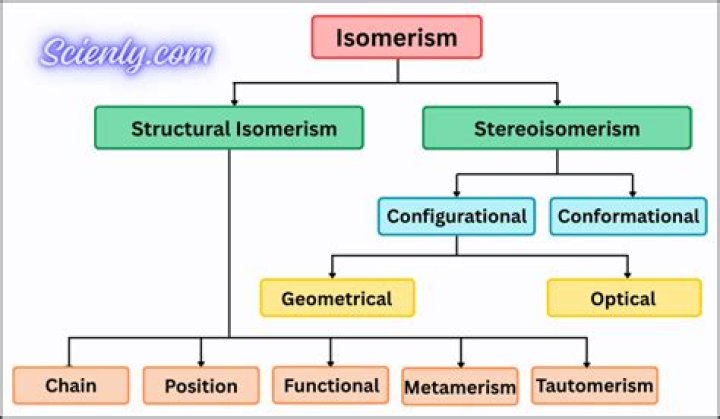 Is metamerism present in mollusca?