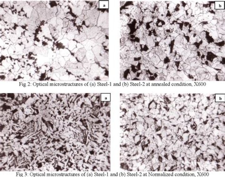 Is microstructural a word?