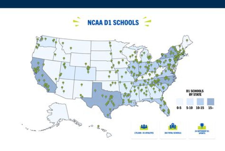 Is msu a d1 school?