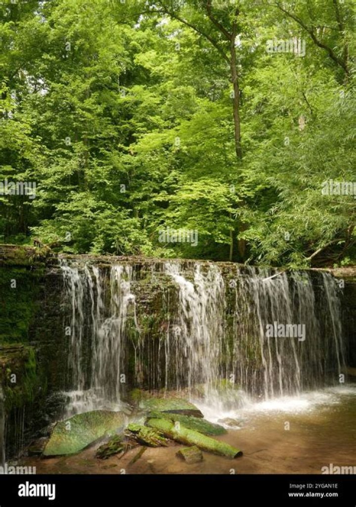 Is nerstrand state park open?