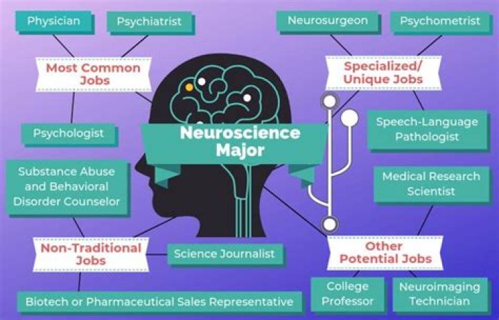 Is neuroscience a stem major?