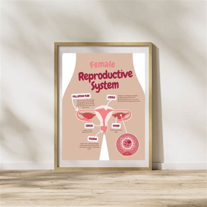Is non reproductive a word?