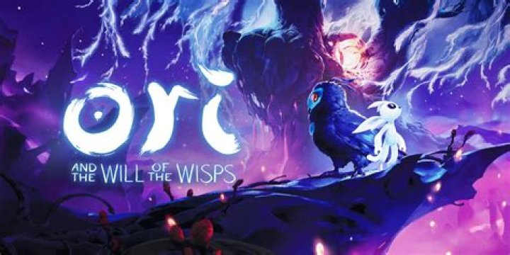 Is ori and the will of the wisps multiplayer?