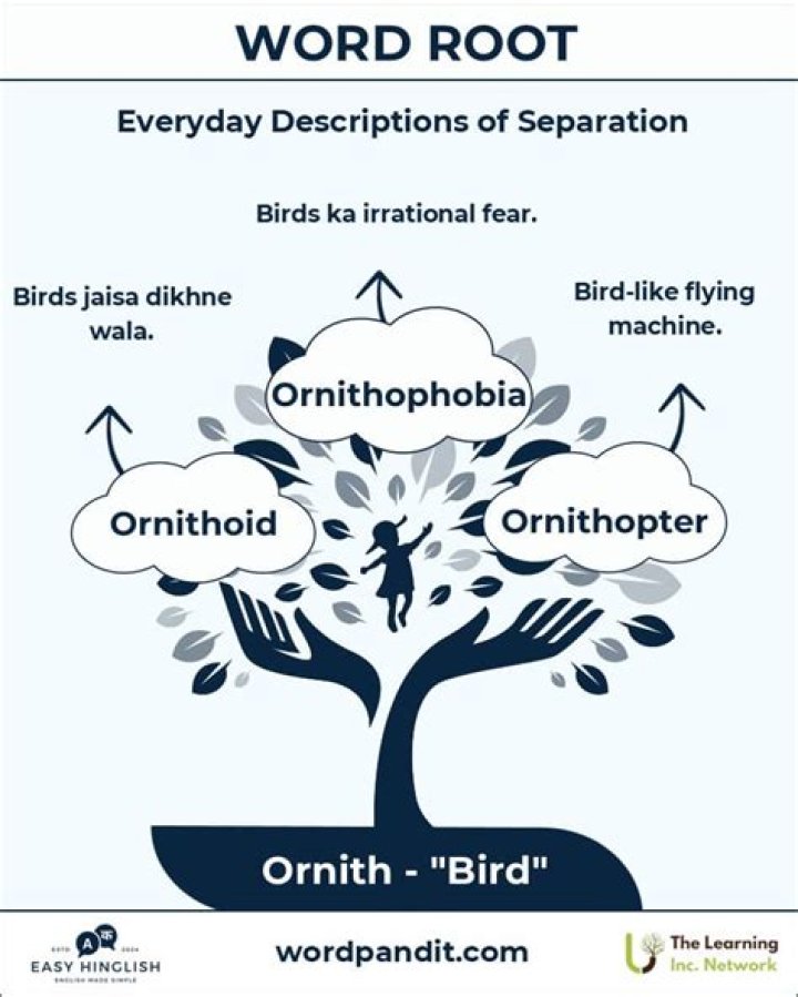 Is ornithology a latin word?