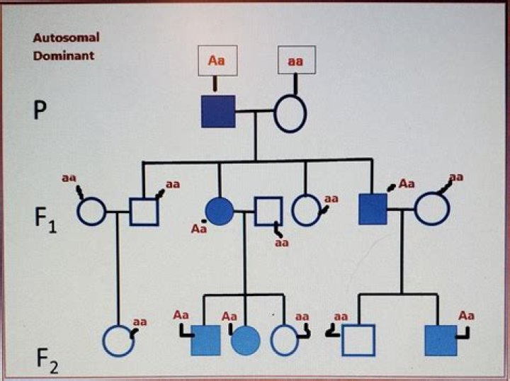 Is osteopetrosis dominant or recessive?