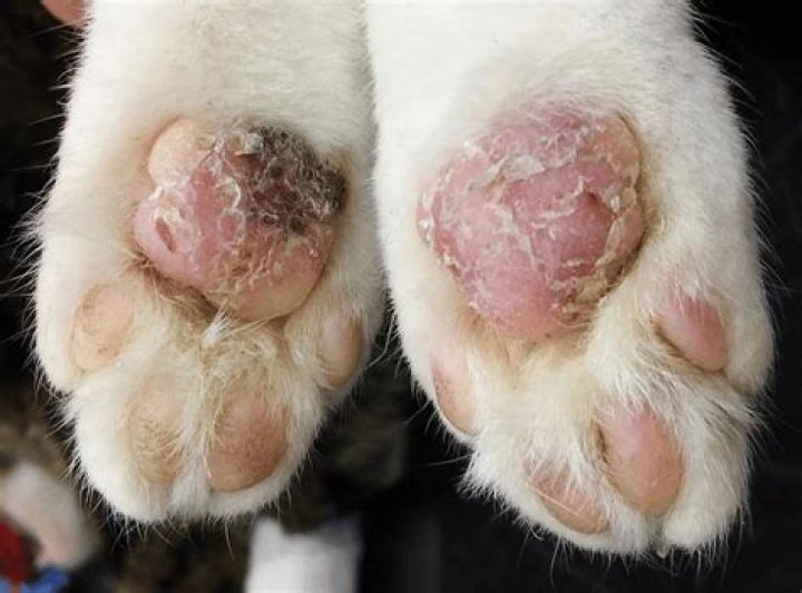 Is overproduce one word?