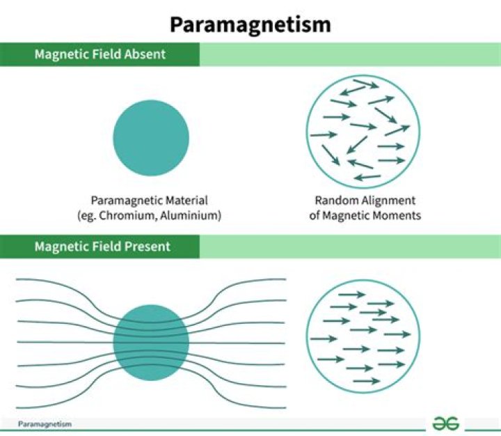 Is paramagnetic attracted to magnetic field?