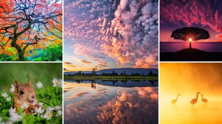 Is photographically a real word?