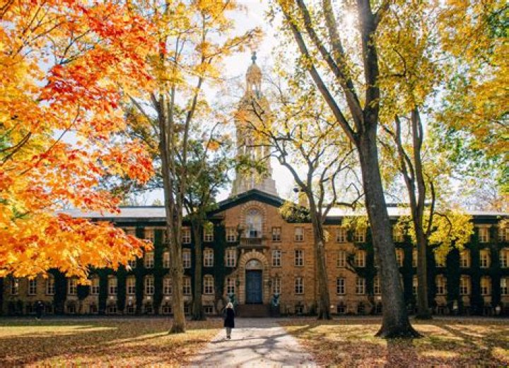 Is princeton a law school?