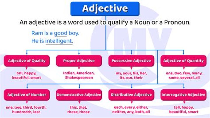 Is proctorial an adjective?