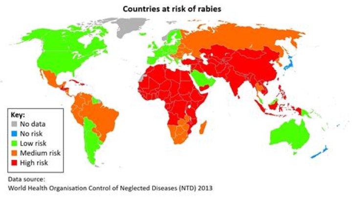 Is rabies in the uk?