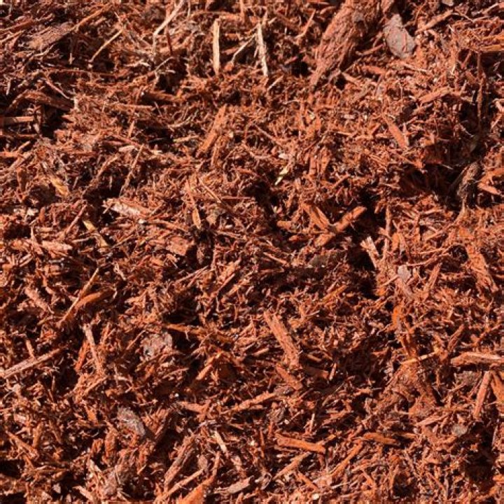 Is red cedar mulch dyed?