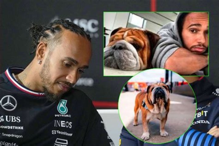 Is roscoe a dog name?