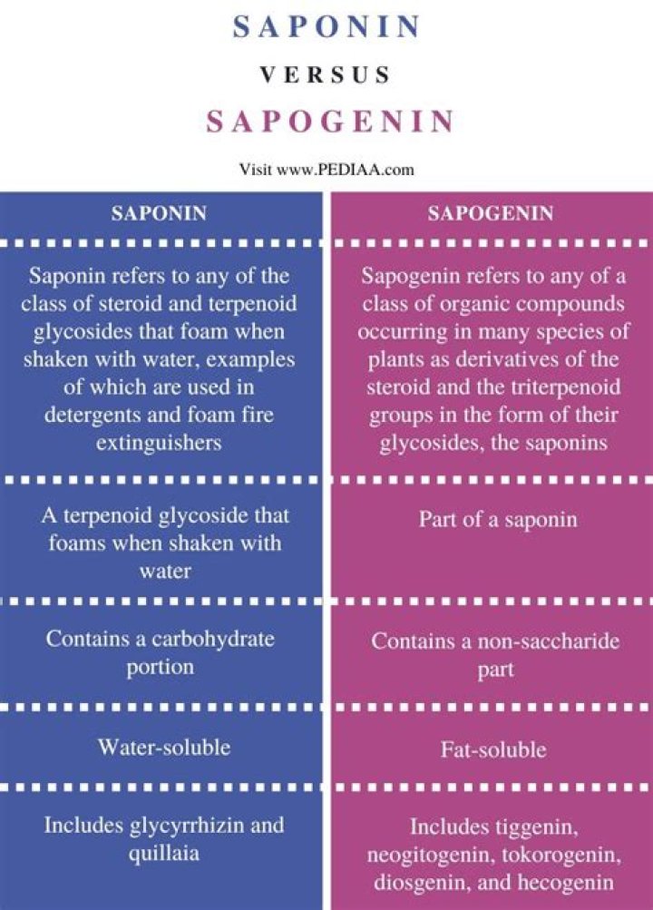 Is saponin toxic to humans?