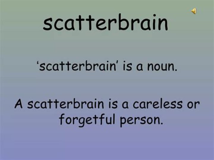 Is scatterbrain a word?